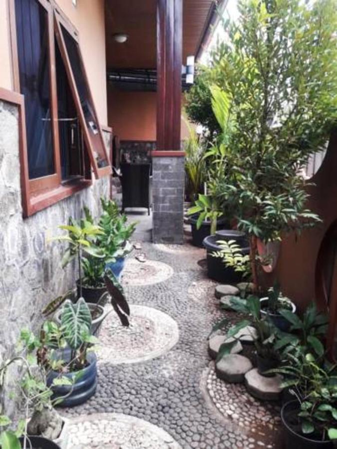 Mocca Guest House Banyuwangi  Exterior foto